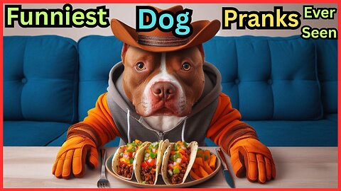 Lord of Dogs Lifestyle