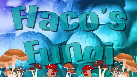 Albino Jedi mind Fck harvest