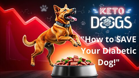 Benefits of the Ketogenic Diet for Diabetic Dogs