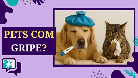 🩺Gripe em Cães e Gatos: Como Prevenir e Cuidar