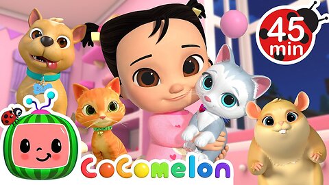CoComelon Pet Animal Medley with Bingo & Jellybean! 🐾 + MORE CoComelon Nursery Rhymes & Songs