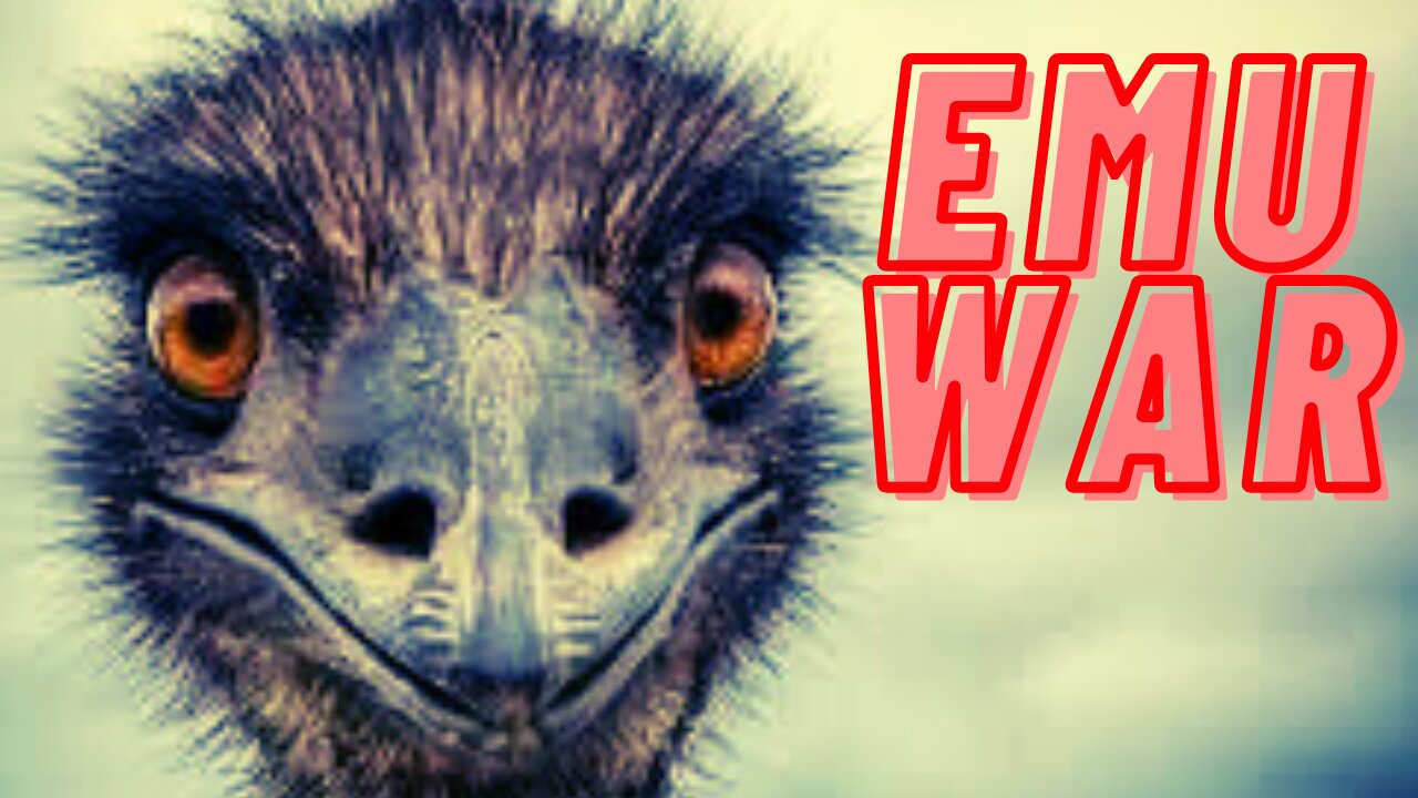 The Great Emu War of 1932 | MKUSUAL