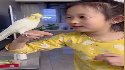 cute parrot