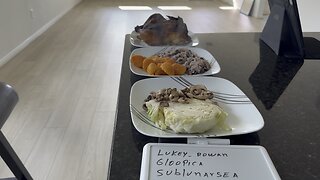 MEAL OF THE DAY DEDICATED