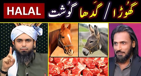 🔥 Donkey Meat Scandal ? ❤️ Reply to Sahil Adeem حفظہ اللہ on Halal & Haram ? 🔥 Engineer Muhammad Ali