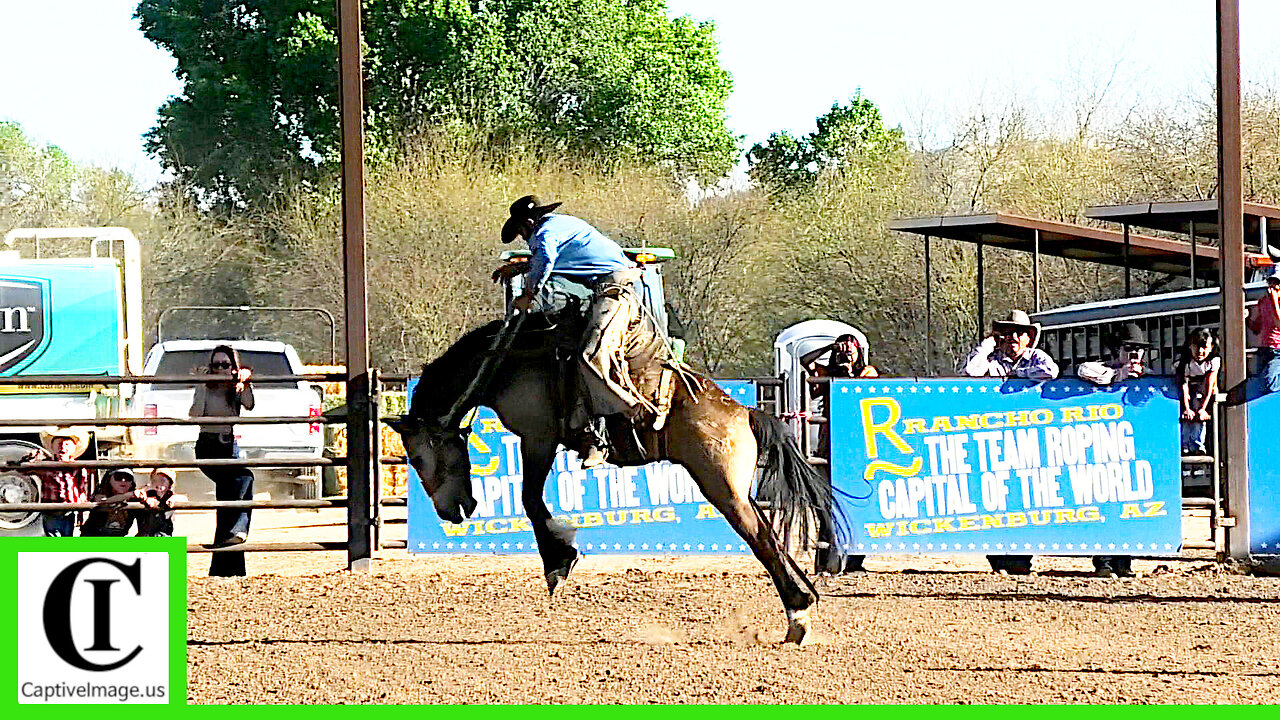 Bronc Riding - 2025 Lowell Goemmer Memorial Ranch Rodeo
