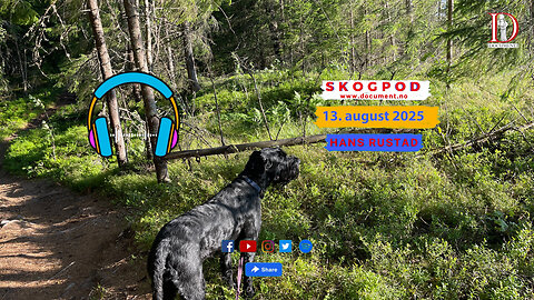 Skogpod 13. august 2025