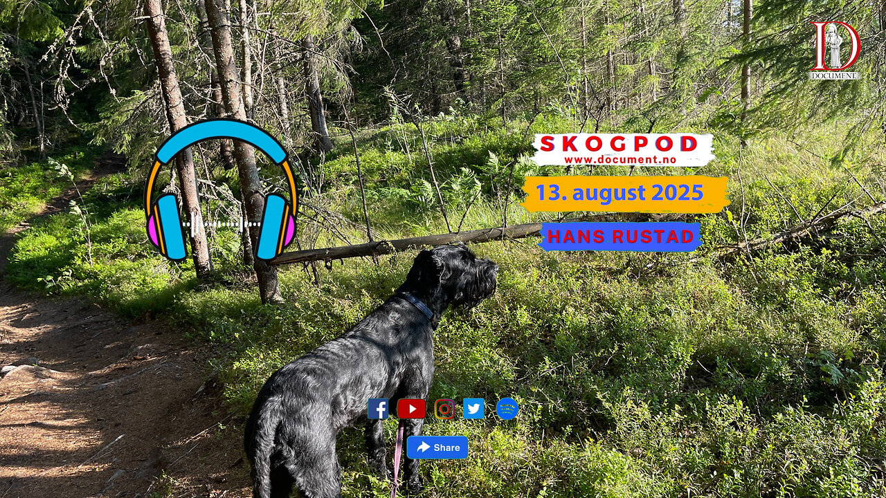 Skogpod 13. august 2025
