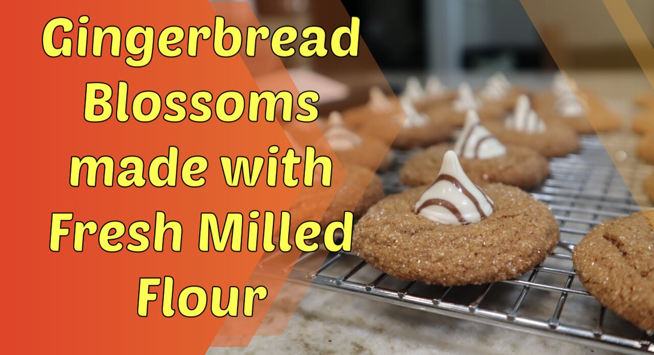 Gingerbread Blossom Cookies made with Fresh Milled Flour