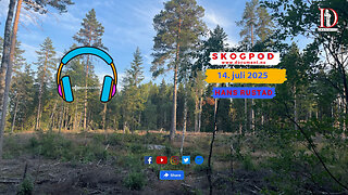 Skogpod 14. juli 2025