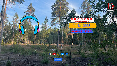 Skogpod 14. juli 2025