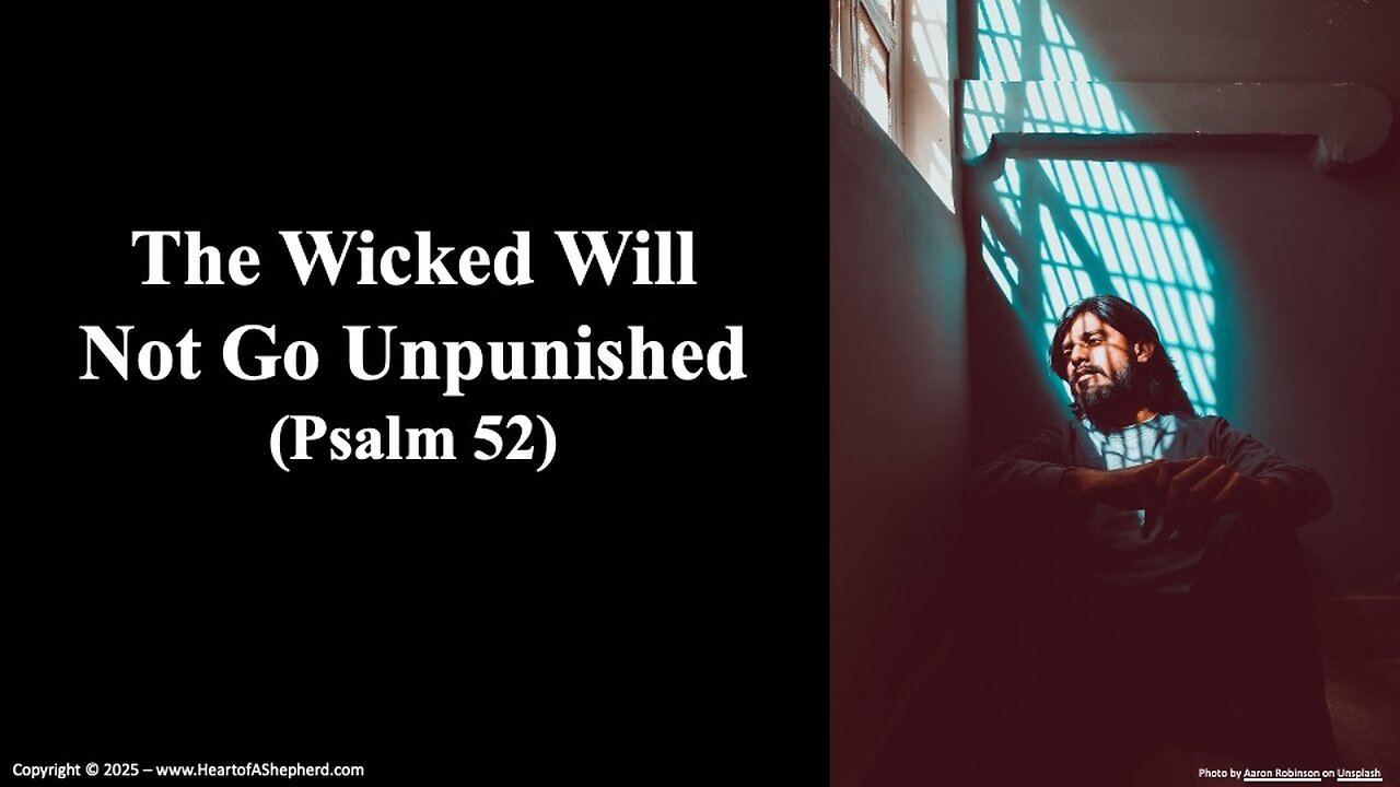 The Wicked Will Not Go Unpunished (Psalm 52), a daily Bible study from www.HeartofAShepherd.com.