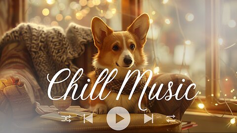 Chillstep Playlist for Focusing | Relaxing Beats for Studying, Working, and Deep Concentration