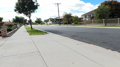 🌝❤️🐕❤️