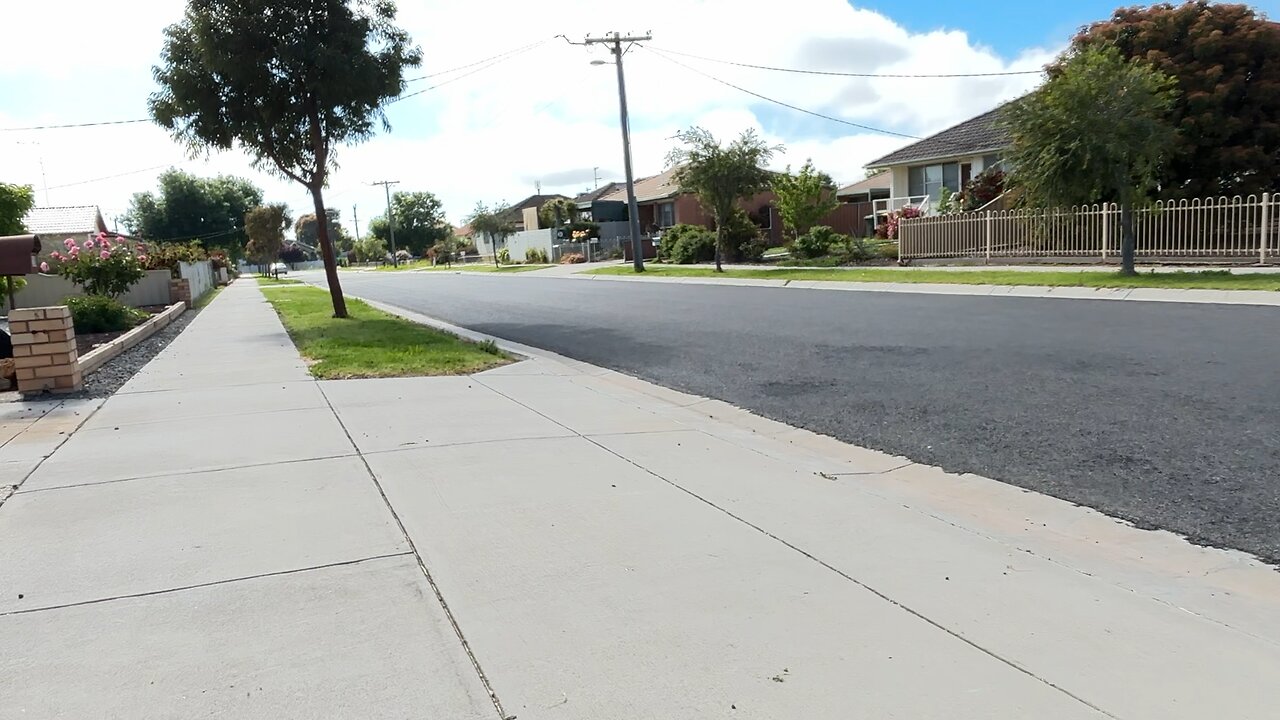 🌝❤️🐕❤️