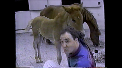 May 16, 1997 - Quality Children's Programming on WRTV