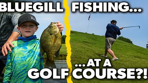 Fishing a Lake Beside a Golf Course – Bluegill Chaos!
