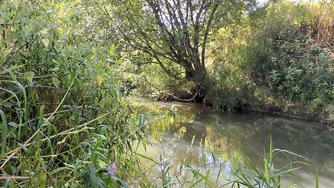 Monodruid (Live) Fordcombe — River Medway — Session 1 (25th August, 2025)