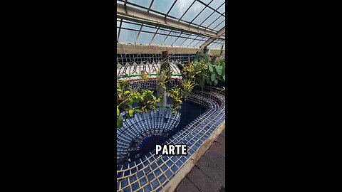 Jardín botánico ciudad de México