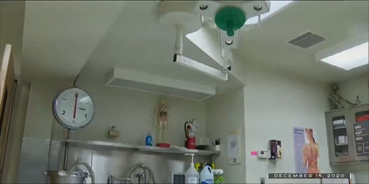 COVIDLAND - Episode 1: The Lockdown Wow this is a amazing