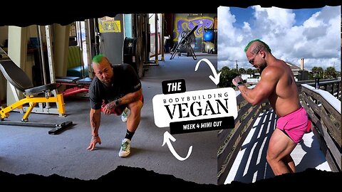 Week 4: Mini Cut I Messed Up | How to Pick Weights on The Road | AMP Hardcore Gym BODYBUILDINGVEGAN