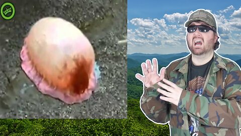 Weird Japanese Pink Sea Creature - Reaction! (BBT)