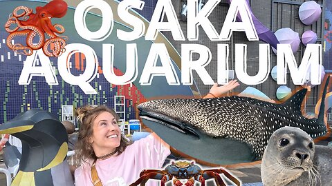 OSAKA AQUARIUM! | JAPAN ADVENTURE