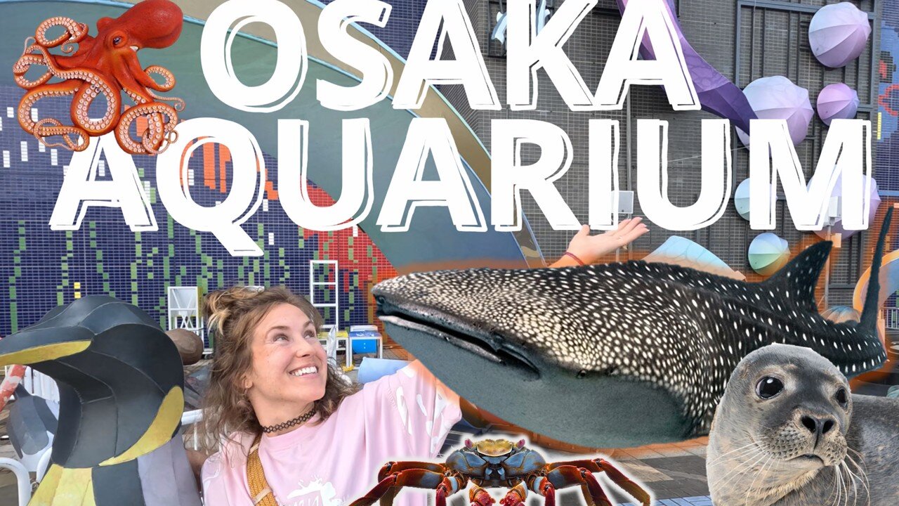 OSAKA AQUARIUM! | JAPAN ADVENTURE