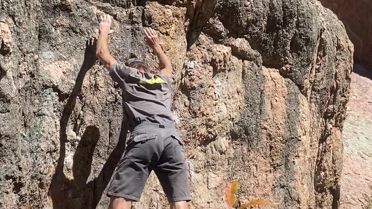 Project for next visit