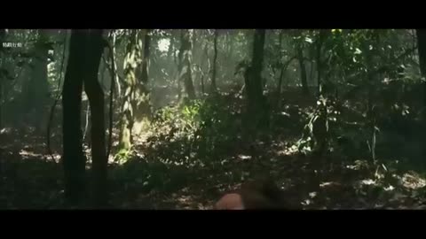 2024 Action Movie: Barbarians vs American Special Forces | #actionmovies #hollywoodmovies #action 