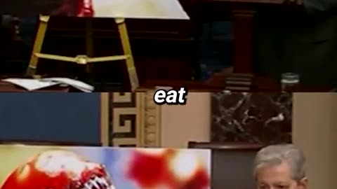 😂👽 Eating Foreign Shrimp Will Mutate You into the Alien! | FunFM