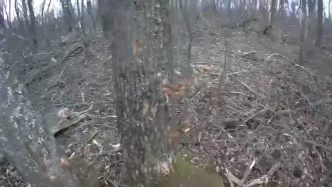 Ukraine war combat footage news 10/29/25