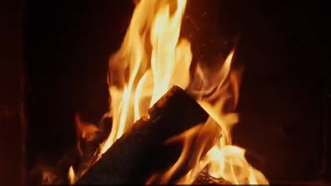 Daily Horoscope | Aries 🌟