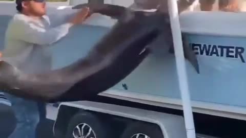 At least no one cried - Fails