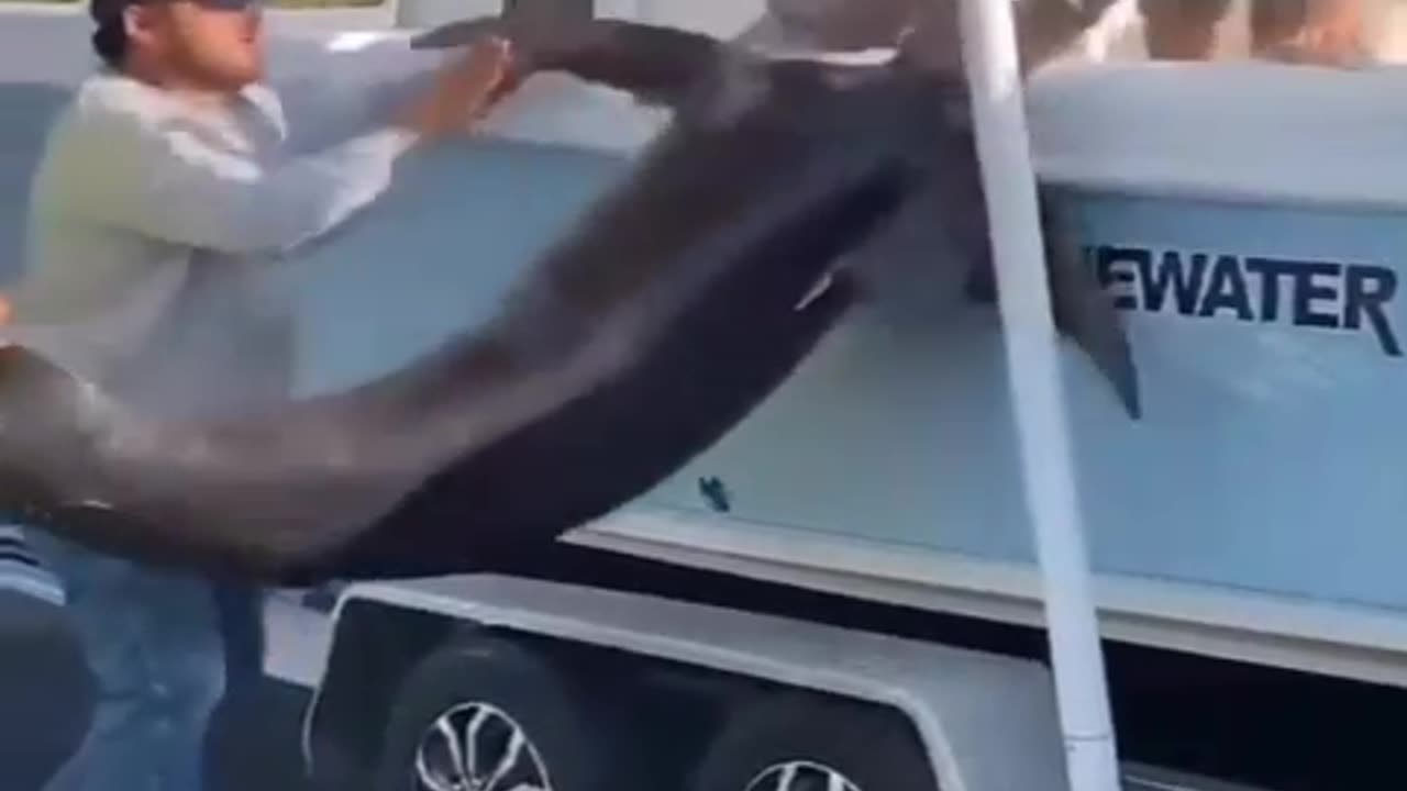 At least no one cried - Fails