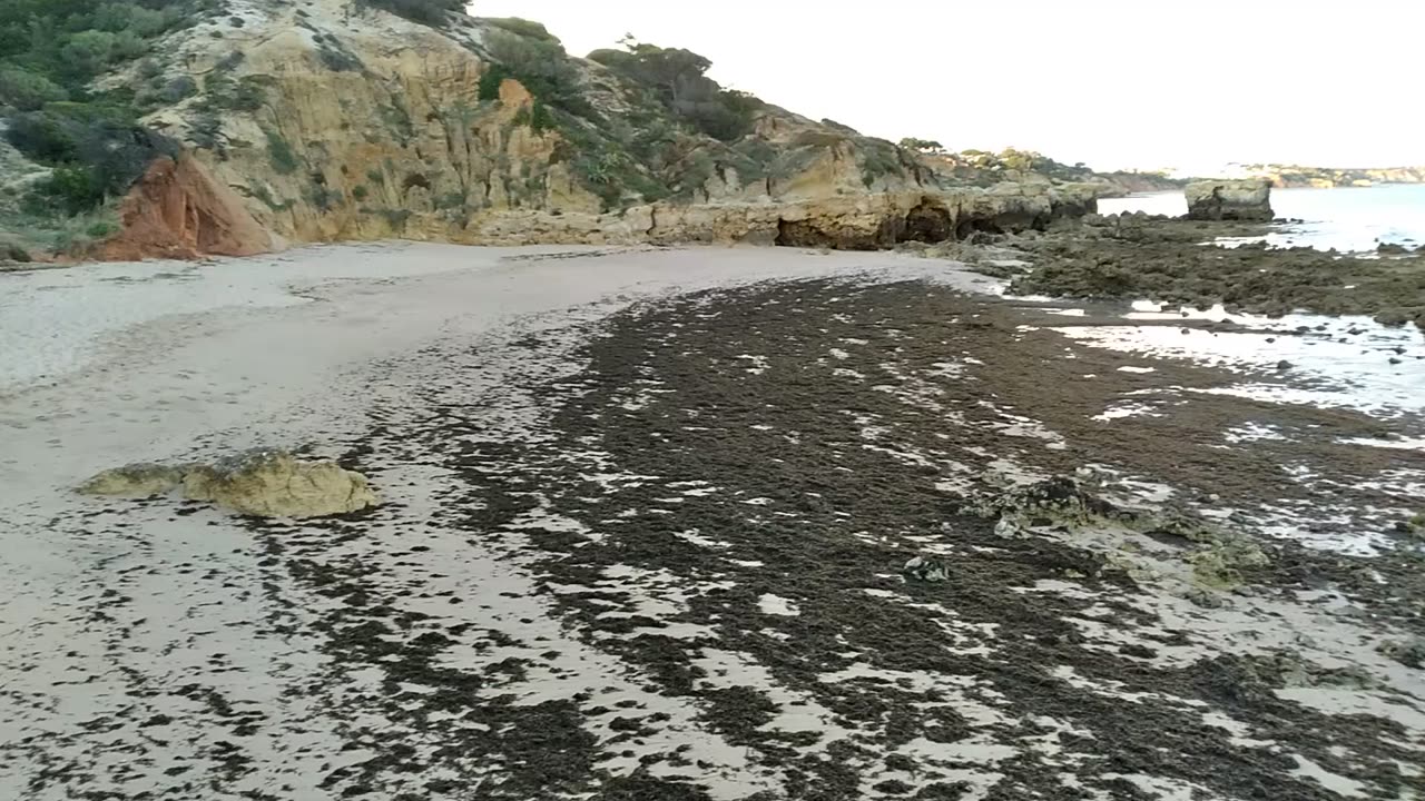 Welcome to beautiful bigots bay beach