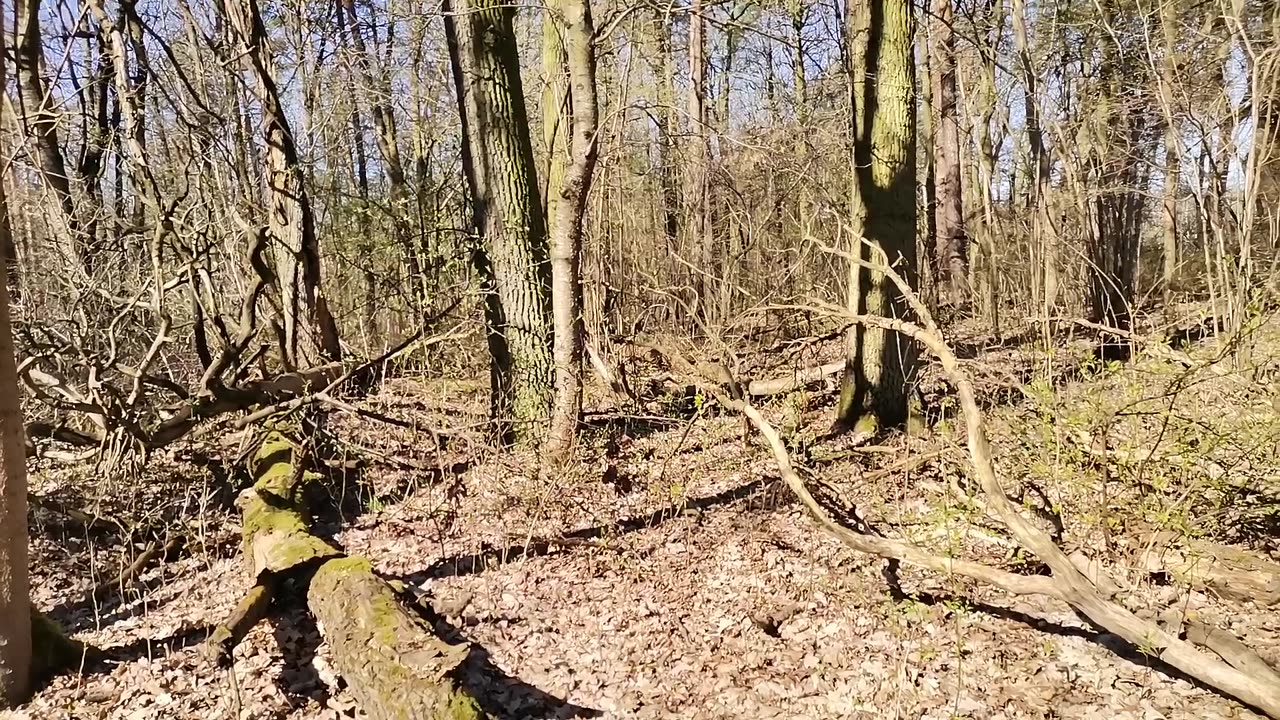 znaleźć w sobie siłę , by wrócić ...
