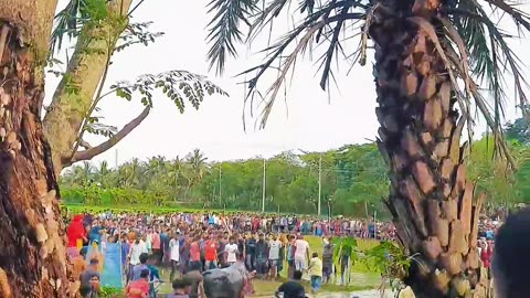 Traditional bullfighting in rural Bengal