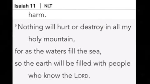 IS THIS THE GREAT AWAKENING?
