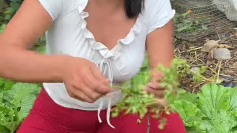 Consintiendo a mis Padres con un Delicioso Desayuno de la Huerta a la Mesa.