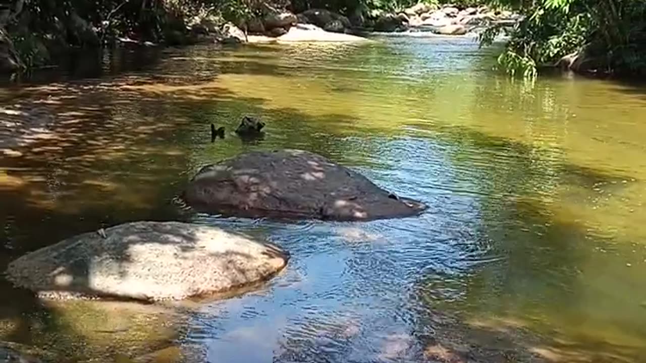 nature