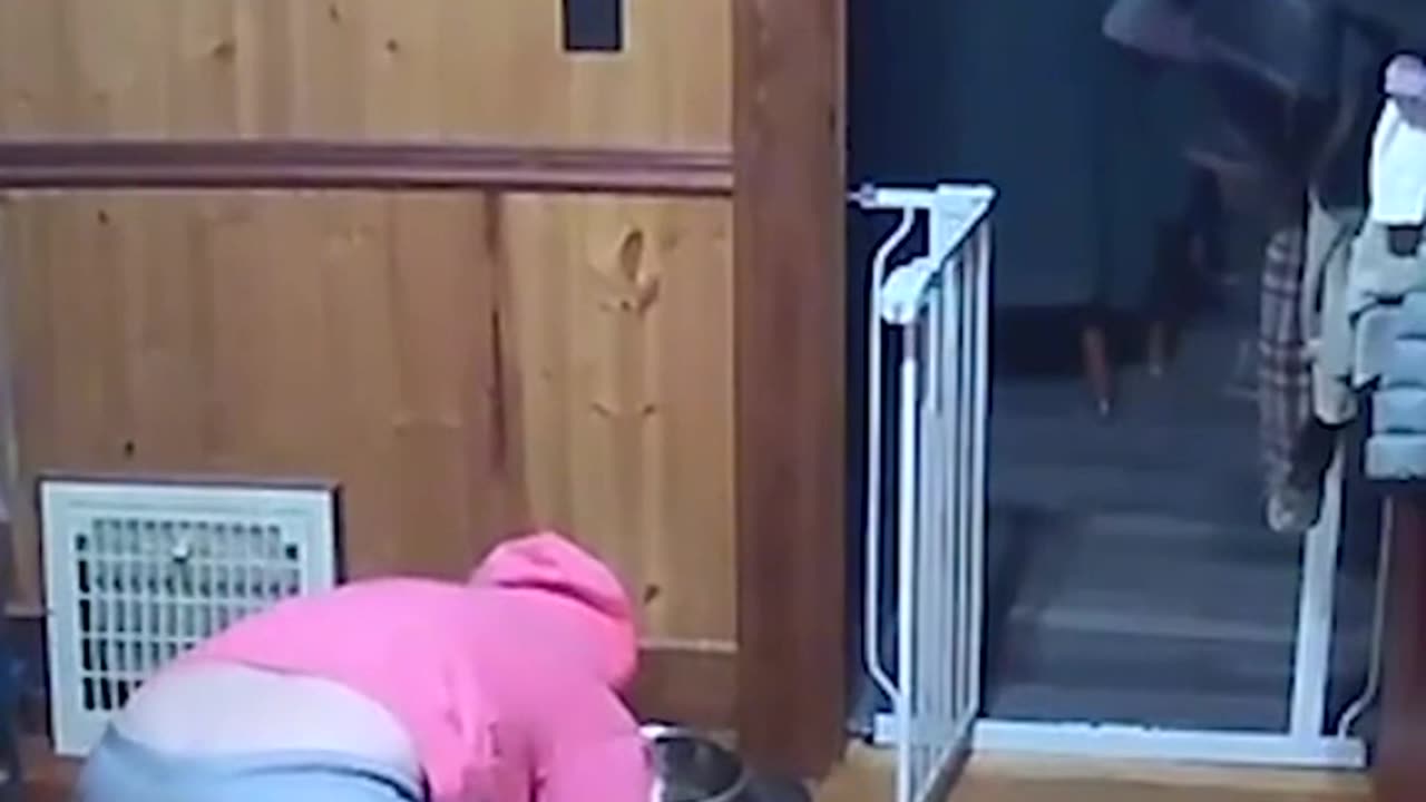 I taste tested my dog's water