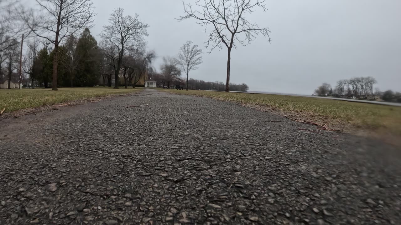 Walking on a Gray Day