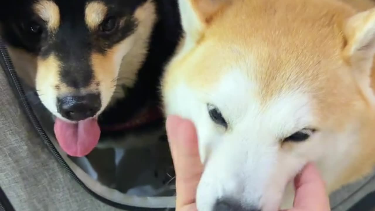 📹 Trending Chinese Viral Videos | Funny, Emotional & Shocking Moments