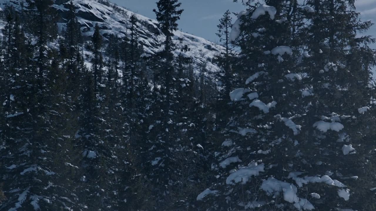 The Snowman (2017) BluRay