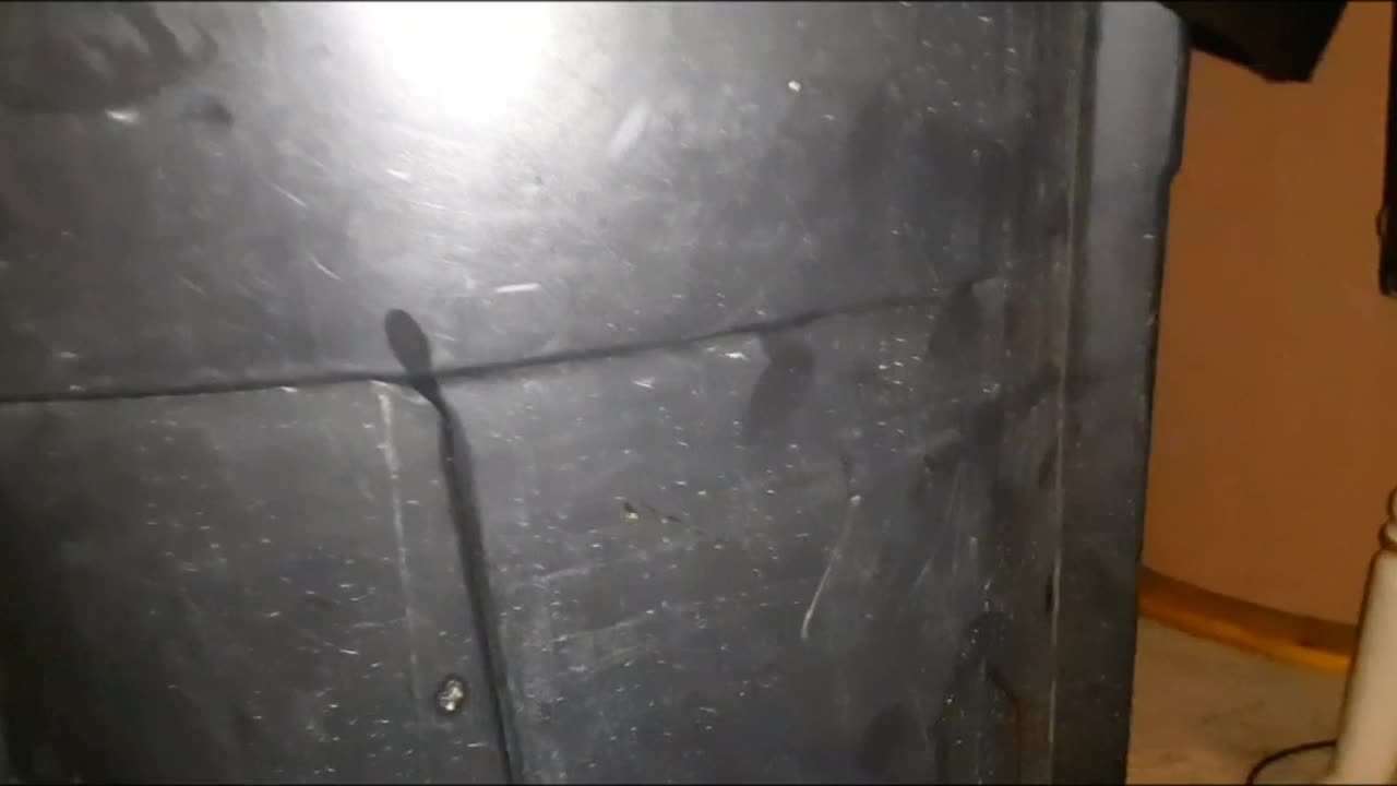 Seein Some Serious Shit In The Trash Can