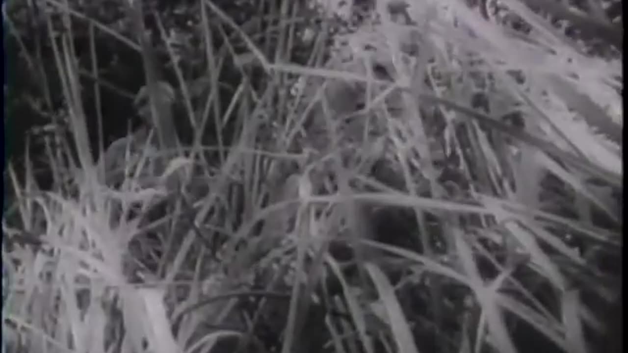 FLYING FORTS BATTLE NAZIES OVER GERMANY