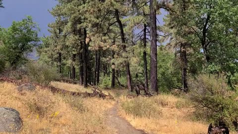 Hiking Mt. Laguna 4c(processParallelDisabled)
