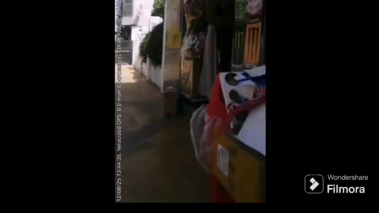 Saludando a un colega perruno
