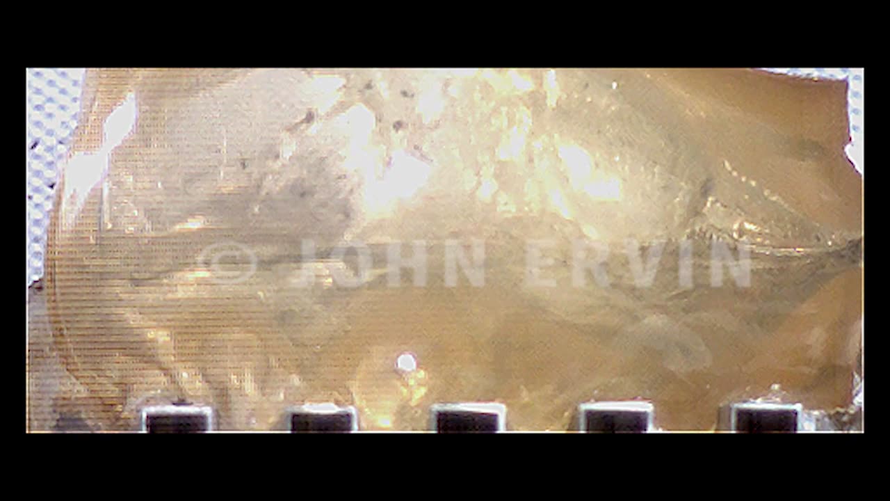 HD Slow Motion - Winchester PDX1 Defender 12 Gauge Segmenting Slug
